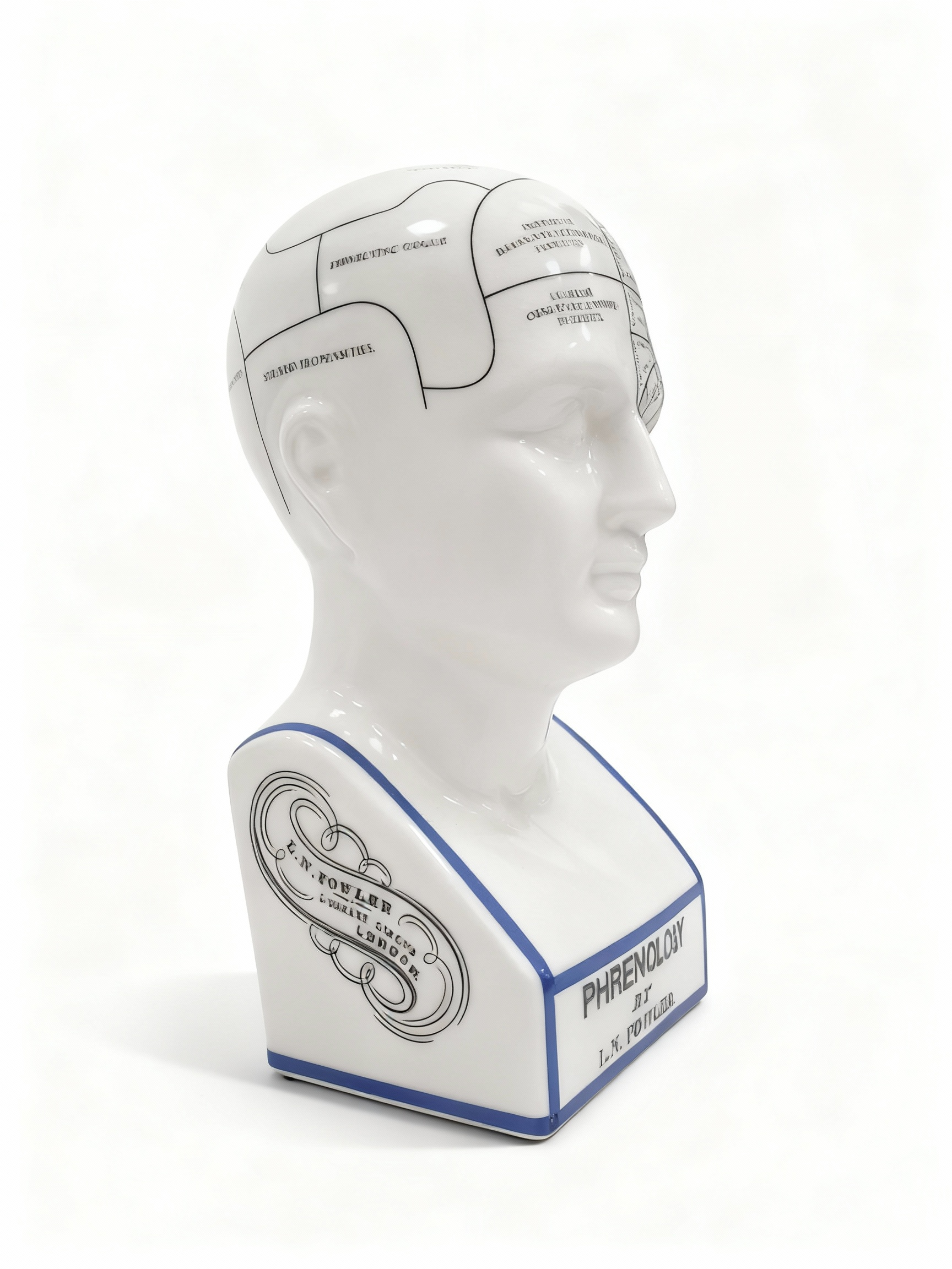 Victorian-style phrenology bust replica (L.N. Fowler) in white ceramic, marked with black and blue study zones, perfect for a cabinet of curiosities