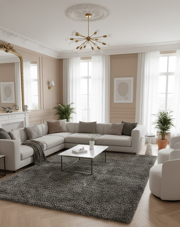 Tapis rectangulaire shaggy (poils longs) de grande taille, couleur gris foncé chiné (mélange de noir et de blanc/gris). Texture très épaisse et ultra-moelleuse. Dimensions250x350 cm.