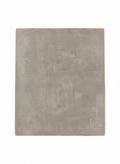 Tapis rectangulaire à poils courts de grande taille, couleur taupe uniforme (gris-brun). Texture dense et aspect velouté. Dimensions200x300 cm.